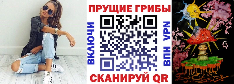Галлюциногенные грибы GOLDEN TEACHER  Купить закладки  Чаплыгин 
